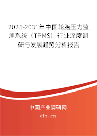 2025-2031年中國輪胎壓力監測系統（TPMS）行業深度調研與發展趨勢分析報告