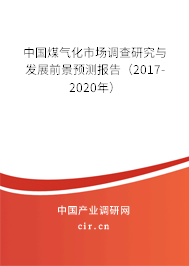 中國煤氣化市場調查研究與發展前景預測報告（2017-2020年）