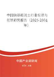 中國鈉基膨潤土行業現狀與前景趨勢報告（2025-2031年）