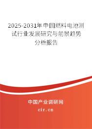 2024-2030年中國燃料電池測試行業發展研究與前景趨勢分析報告