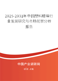 2025-2031年中國塑料腰帶行業(yè)發(fā)展研究與市場前景分析報告