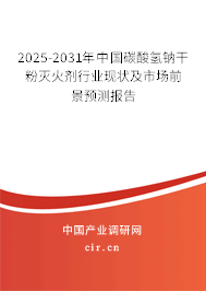 2025-2031年中國碳酸氫鈉干粉滅火劑行業現狀及市場前景預測報告