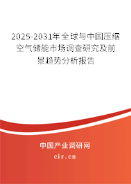 2025-2031年全球與中國壓縮空氣儲能市場調查研究及前景趨勢分析報告