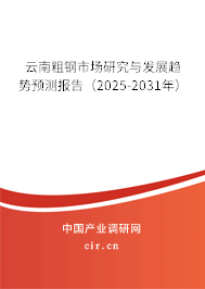 云南粗鋼市場(chǎng)研究與發(fā)展趨勢(shì)預(yù)測(cè)報(bào)告（2025-2031年）