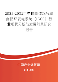 2025-2031年中國整體煤氣聯合循環發電系統（IGCC）行業現狀分析與發展前景研究報告