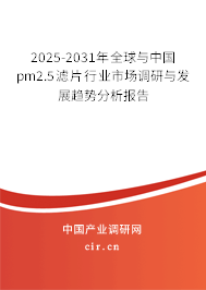 2025-2031年全球與中國pm2.5濾片行業市場調研與發展趨勢分析報告