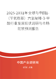 2025-2031年全球與中國1-（芐氧羰基）六氫噠嗪-3-甲酸行業(yè)發(fā)展現(xiàn)狀調(diào)研與市場前景預(yù)測報(bào)告