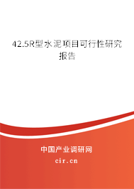 42.5R型水泥項目可行性研究報告