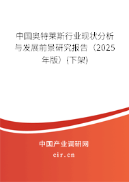 中國奧特萊斯行業現狀分析與發展前景研究報告（2025年版）(下架)