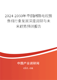 2024-2030年中國閉路電視攝像機行業發展深度調研與未來趨勢預測報告