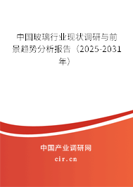 中國(guó)玻璃行業(yè)現(xiàn)狀調(diào)研與前景趨勢(shì)分析報(bào)告（2025-2031年）
