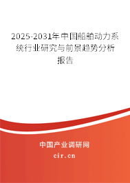 2025-2031年中國船舶動力系統行業研究與前景趨勢分析報告