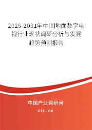 2025-2031年中國地面數字電視行業現狀調研分析與發展趨勢預測報告