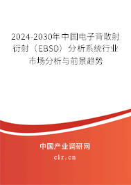 2024-2030年中國電子背散射衍射（EBSD）分析系統行業市場分析與前景趨勢