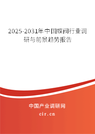 2024-2030年中國蝶閥行業調研與前景趨勢報告