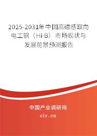 2025-2031年中國高磁感取向電工鋼（Hi-B）市場現狀與發展前景預測報告