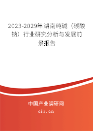2023-2029年湖南純堿（碳酸鈉）行業研究分析與發展前景報告