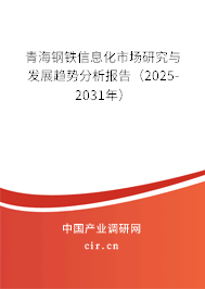 青海鋼鐵信息化市場研究與發展趨勢分析報告（2025-2031年）