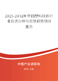 2025-2031年中國塑料掛件行業(yè)現狀分析與前景趨勢預測報告