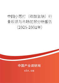 中國小蘇打（碳酸氫鈉）行業現狀與市場前景分析報告（2025-2031年）