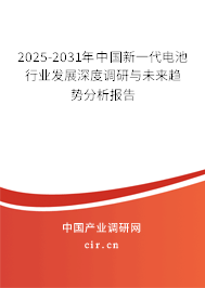 2024-2030年中國新一代電池行業發展深度調研與未來趨勢分析報告