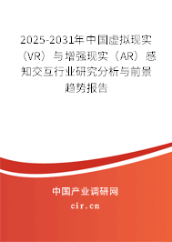 2025-2031年中國虛擬現實（VR）與增強現實（AR）感知交互行業研究分析與前景趨勢報告