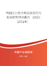 中國壓力泵市場調(diào)查研究與發(fā)展趨勢預(yù)測報(bào)告（2025-2031年）