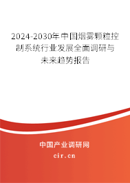 2024-2030年中國煙霧顆粒控制系統行業發展全面調研與未來趨勢報告