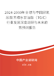 2024-2030年全球與中國異氰尿酸三縮水甘油酯（TGIC）行業發展深度調研與未來趨勢預測報告