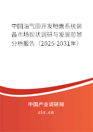 中國油氣田開發地面系統裝備市場現狀調研與發展前景分析報告（2025-2031年）