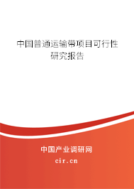中國普通運輸帶項目可行性研究報告