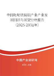 中國吡啶硫酮銅產業產業發展回顧與展望分析報告（2023-2029年）