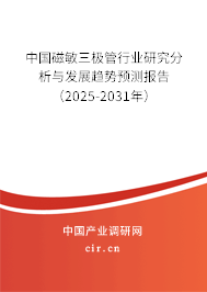 中國磁敏三極管行業(yè)研究分析與發(fā)展趨勢預測報告（2025-2031年）
