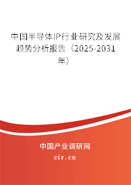 中國半導體IP行業研究及發展趨勢分析報告（2025-2031年）