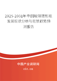 2025-2031年中國玻璃錐形瓶發展現狀分析與前景趨勢預測報告