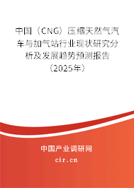 中國（CNG）壓縮天然氣汽車與加氣站行業(yè)現(xiàn)狀研究分析及發(fā)展趨勢(shì)預(yù)測(cè)報(bào)告（2025年）