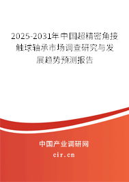 2025-2031年中國超精密角接觸球軸承市場調查研究與發展趨勢預測報告