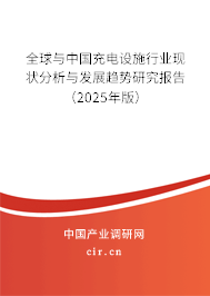 全球與中國充電設施行業現狀分析與發展趨勢研究報告（2025年版）