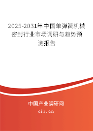 2025-2031年中國單彈簧機械密封行業市場調研與趨勢預測報告