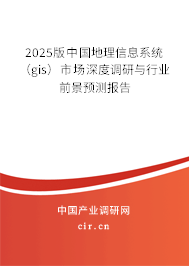 2025版中國地理信息系統（gis）市場深度調研與行業前景預測報告