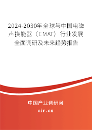 2024-2030年全球與中國電磁聲換能器（EMAT）行業發展全面調研及未來趨勢報告
