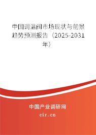 中國調溫閥市場現狀與前景趨勢預測報告（2024-2030年）