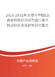2025-2031年全球與中國EB病毒核酸檢測試劑盒行業市場調研及發展趨勢研究報告