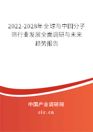 2022-2028年全球與中國分子篩行業發展全面調研與未來趨勢報告