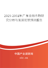 2025-2031年廣東金融市場研究分析與發展前景預測報告