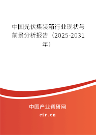 中國光伏集裝箱行業現狀與前景分析報告（2025-2031年）