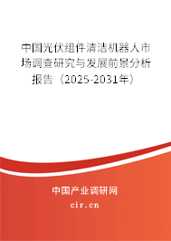 中國光伏組件清潔機器人市場調查研究與發(fā)展前景分析報告（2025-2031年）