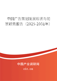 中國(guó)廣告策劃發(fā)展現(xiàn)狀與前景趨勢(shì)報(bào)告（2025-2031年）