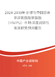 2024-2030年全球與中國混合非異氰酸酯聚氨酯（HNIPU）市場深度調研與發展趨勢預測報告