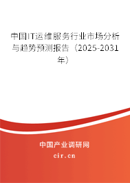 中國IT運維服務行業市場分析與趨勢預測報告（2025-2031年）